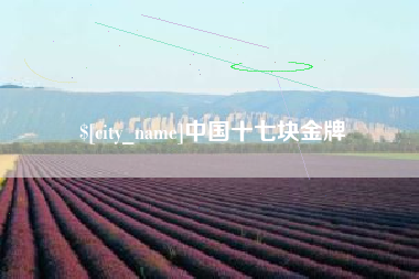林芝中国十七块金牌