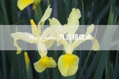 林芝九宫格优点