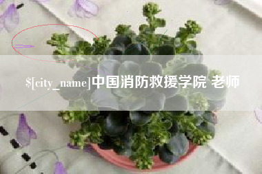 林芝中国消防救援学院 老师