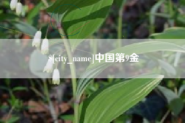 林芝中国第9金