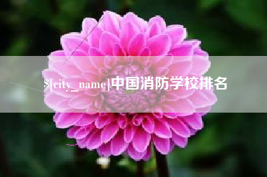 林芝中国消防学校排名