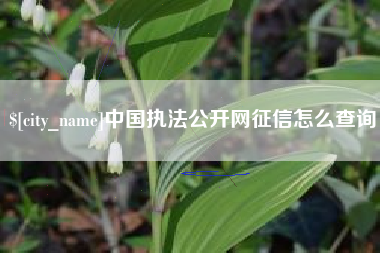 林芝中国执法公开网征信怎么查询