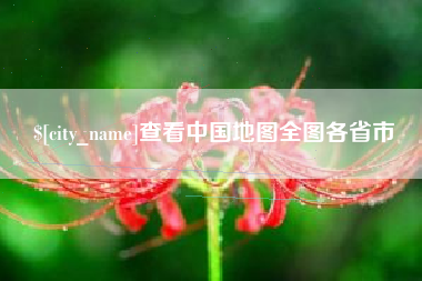 林芝查看中国地图全图各省市