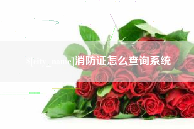 林芝消防证怎么查询系统