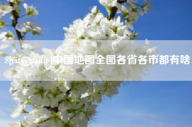 林芝中国地图全图各省各市都有啥