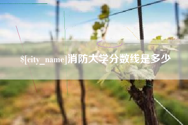 林芝消防大学分数线是多少