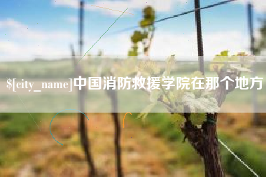 林芝中国消防救援学院在那个地方