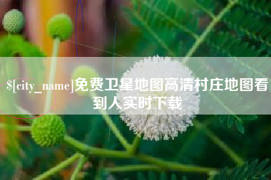 林芝免费卫星地图高清村庄地图看到人实时下载