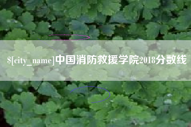 林芝中国消防救援学院2018分数线