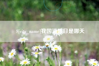 林芝我国消防日是哪天