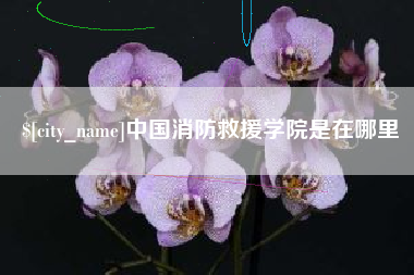 林芝中国消防救援学院是在哪里