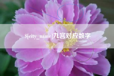 林芝九宫对应数字