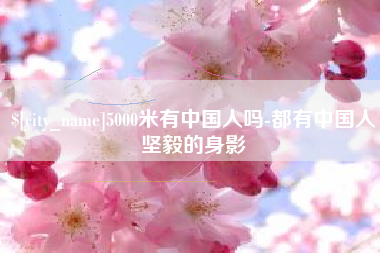 林芝5000米有中国人吗-都有中国人坚毅的身影