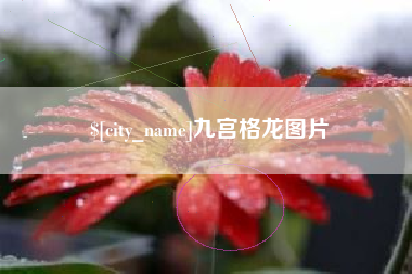 林芝九宫格龙图片