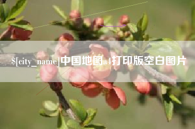 林芝中国地图a4打印版空白图片