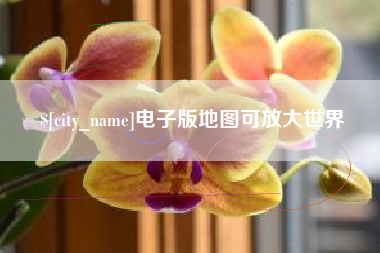 林芝电子版地图可放大世界