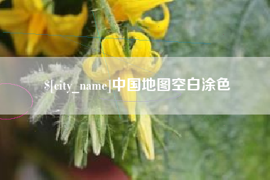 林芝中国地图空白涂色