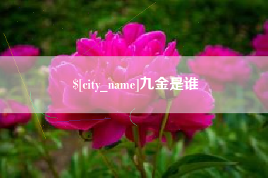 林芝九金是谁