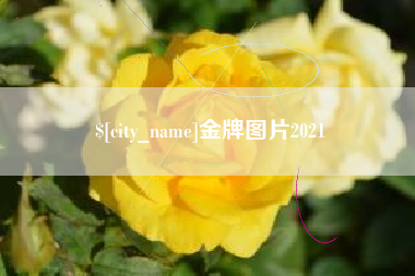 林芝金牌图片2021