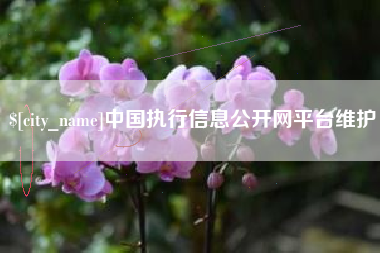 林芝中国执行信息公开网平台维护