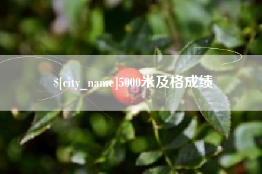 林芝5000米及格成绩