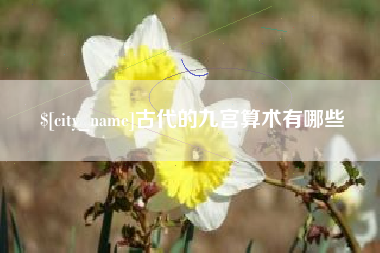 林芝古代的九宫算术有哪些