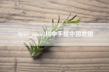 林芝初中手绘中国地图