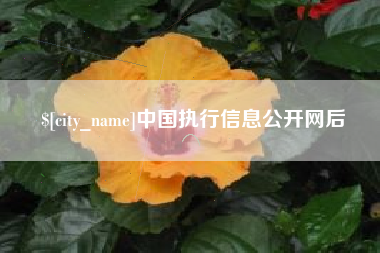 林芝中国执行信息公开网后
