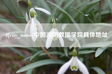 林芝中国消防救援学院具体地址