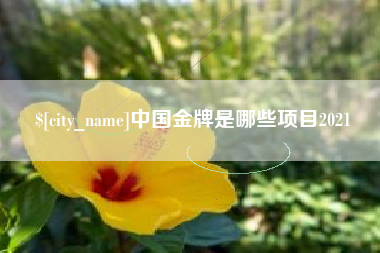 林芝中国金牌是哪些项目2021
