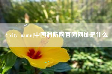 林芝中国消防网官网网址是什么