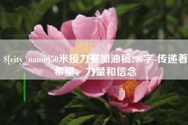 林芝50米接力赛加油稿200字-传递着希望、力量和信念