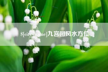 林芝九宫图风水方位