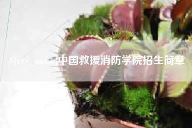 林芝中国救援消防学院招生简章