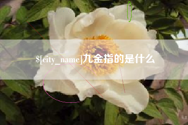 林芝九金指的是什么