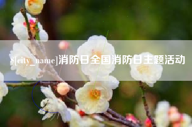 林芝消防日全国消防日主题活动