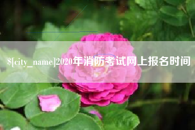 林芝2020年消防考试网上报名时间