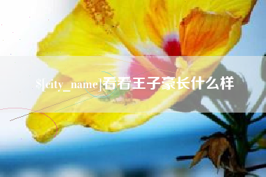 林芝看看王子豪长什么样