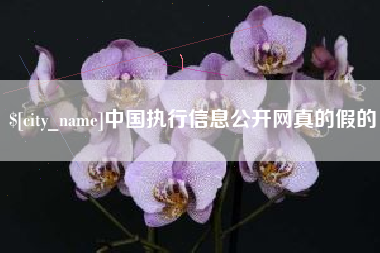 林芝中国执行信息公开网真的假的