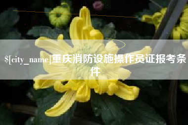林芝重庆消防设施操作员证报考条件