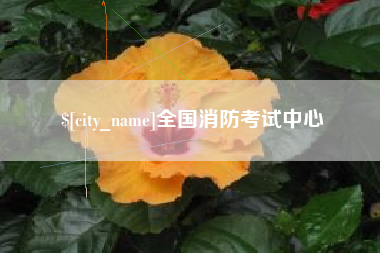 林芝全国消防考试中心
