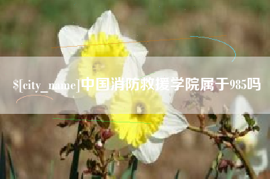 林芝中国消防救援学院属于985吗