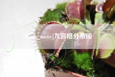 林芝九宫格分布图