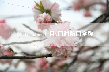 林芝11月9日消防日全称