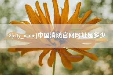 林芝中国消防官网网址是多少