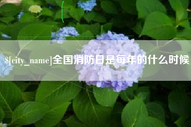 林芝全国消防日是每年的什么时候