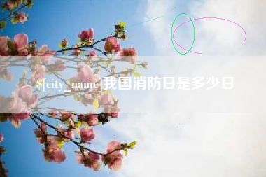 林芝我国消防日是多少日