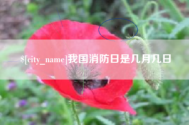 林芝我国消防日是几月几日