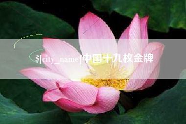 林芝中国十九枚金牌