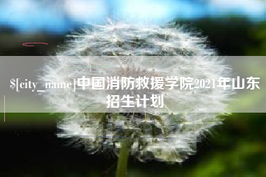 林芝中国消防救援学院2021年山东招生计划